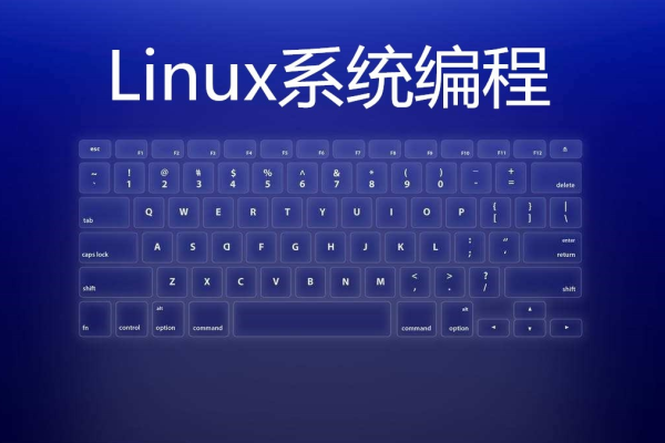 Ubuntu Linux视频教程，掌握操作系统的关键技巧与功能