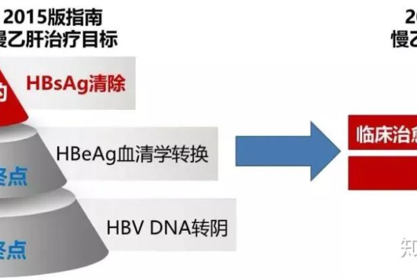 乙肝CDN，探索其对患者生活与治疗的影响