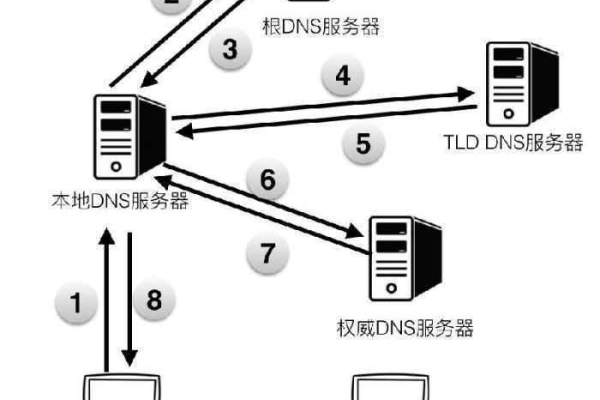 DNS和服务器在苹果设备中是如何协同工作的？