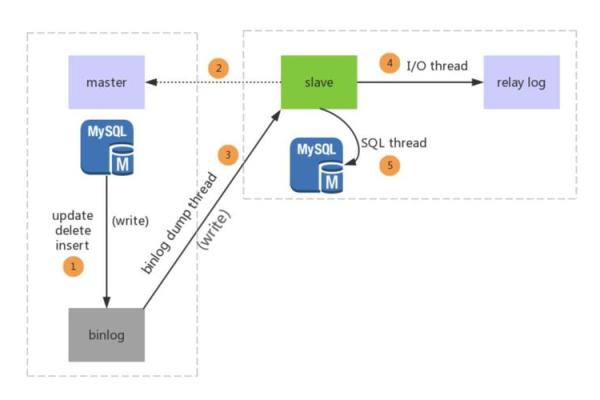 如何配置MySQL数据库以实现LDAP认证的主从复制？