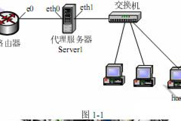 代理服务器通常使用哪些类型的IP地址？