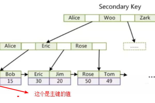 是否所有MySQL数据库都默认包含索引？