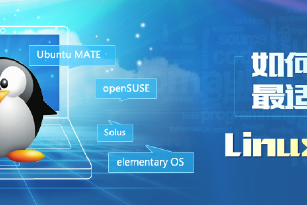 探索Linux世界，哪个发行版最符合你的需求？