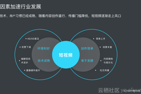 如何充分利用媒体播放器SDK的功能优势？