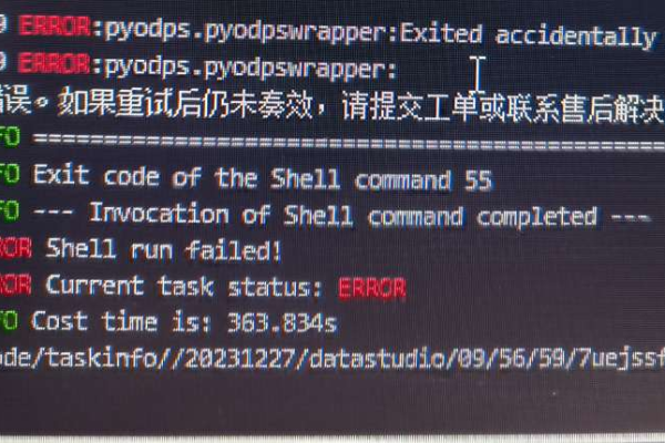 在大数据计算MaxCompute的 sql 页面里，执行一段时间后都会出现错误提示是什么原因？