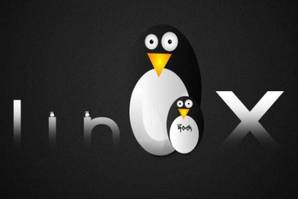 BioKey Linux是什么？探索这一独特操作系统的特性与用途