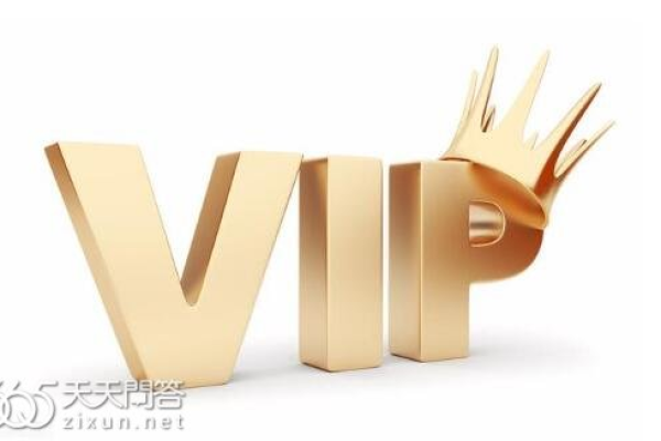 vip是什么意思  第1张