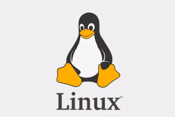 探秘Linux稳定性的奥秘：背后的秘密揭秘