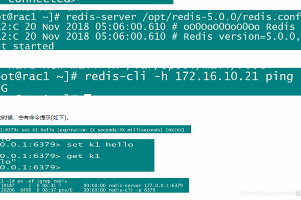 如何在Linux系统上下载并安装Redis？