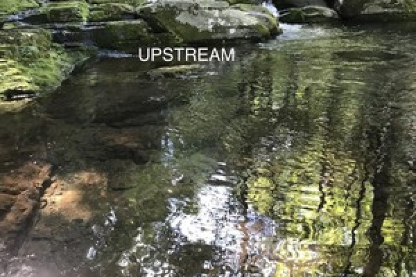 Upstream，探索上游世界的奥秘与挑战