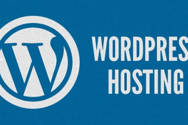 wordpress 空间  第1张