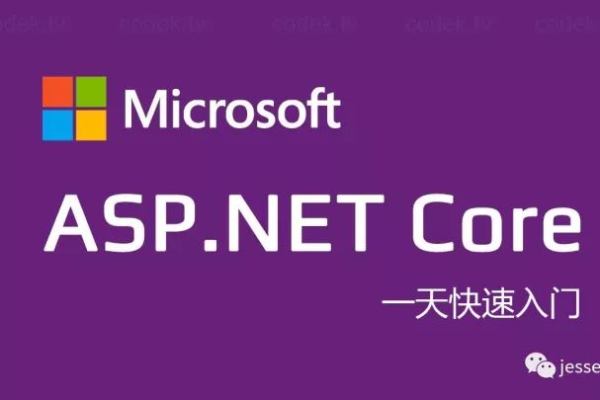 ASP.NET Core 怎么购买？一站式指南助你轻松入手！