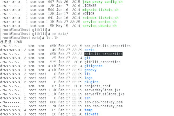 如何在CentOS 7上安装和配置Git服务器？  第1张