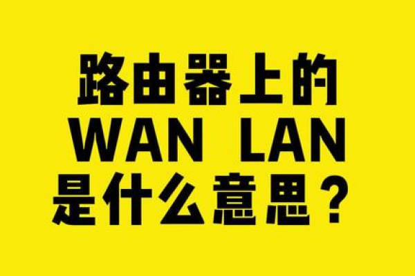 LAN一词究竟意味着什么？