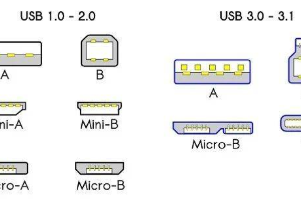 Type类型在实际应用中有哪些常见用途？