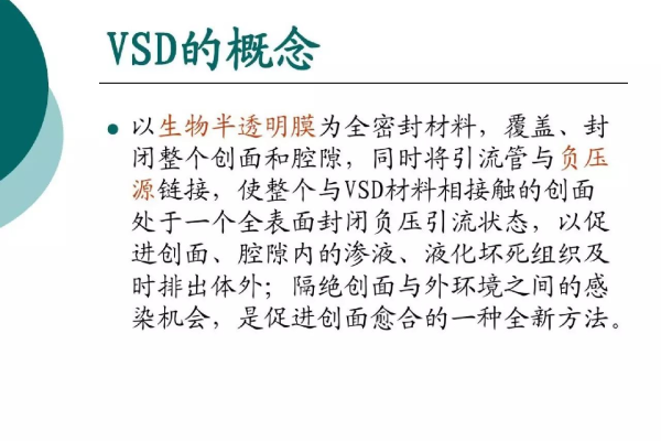 VSD格式是什么？它有哪些特点和用途？  第1张