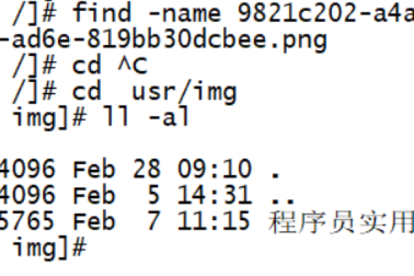 为什么从Windows上传到Linux服务器的PHP图片无法生成？