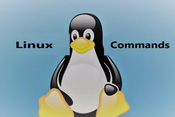 如何系统地掌握Linux，从初学者到专家的全面指南是什么？