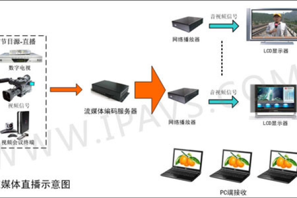 如何搭建自己的流媒体服务器，源码解析与应用指南？