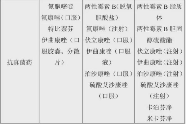 如何有效管理和优化文件目录？  第1张