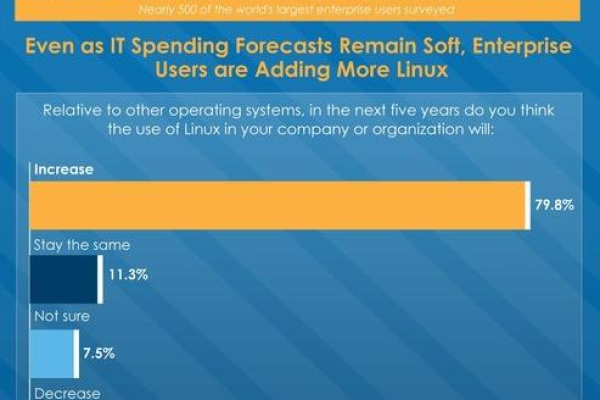 企业通常使用Linux服务器来处理哪些关键任务？  第1张