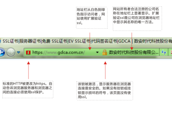 Thawte SSL证书的种类及其年度费用是多少？