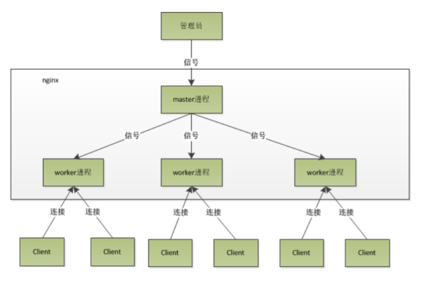 如何有效结合Nginx和CDN来优化网站性能和加速内容分发？