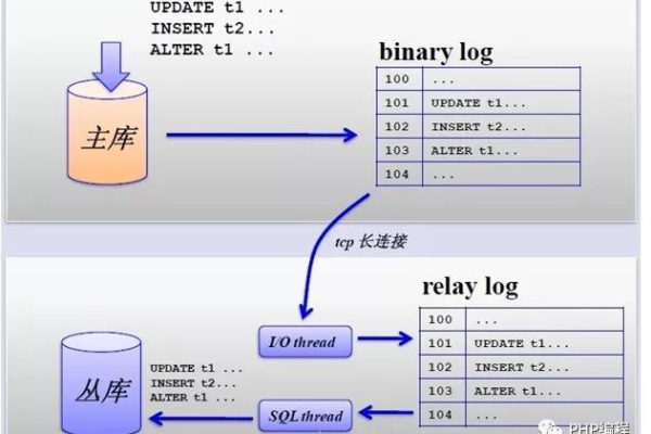 如何有效进行MySQL数据库的资源扩展以提升性能？