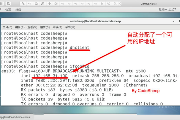 如何在Linux环境下高效地进行编程？