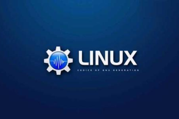 探索Linux的众多版本，哪个最适合你的需求？