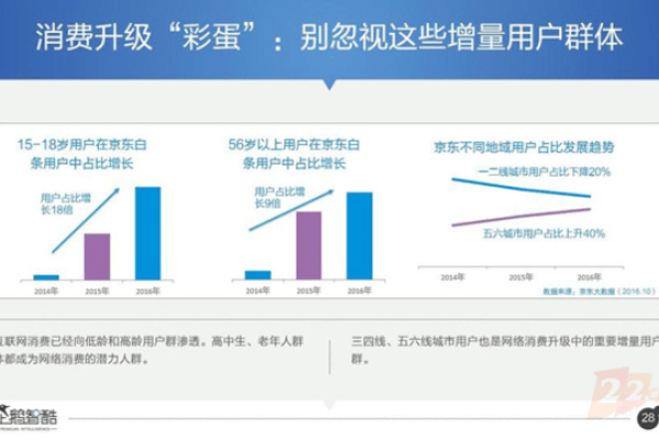 中文域名注册，是否成为互联网新趋势的关键一步？