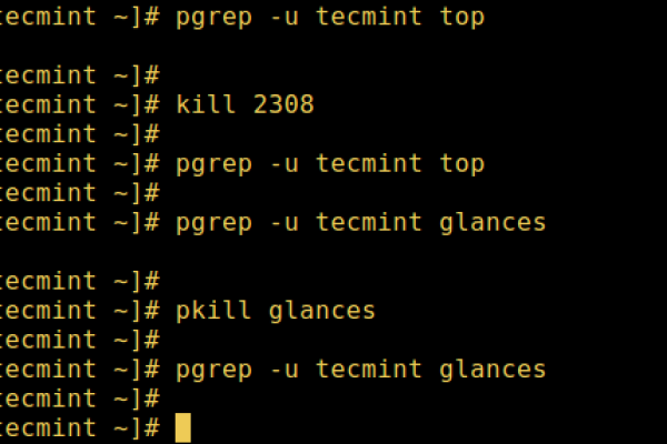 如何在Linux系统中终止一个进程？