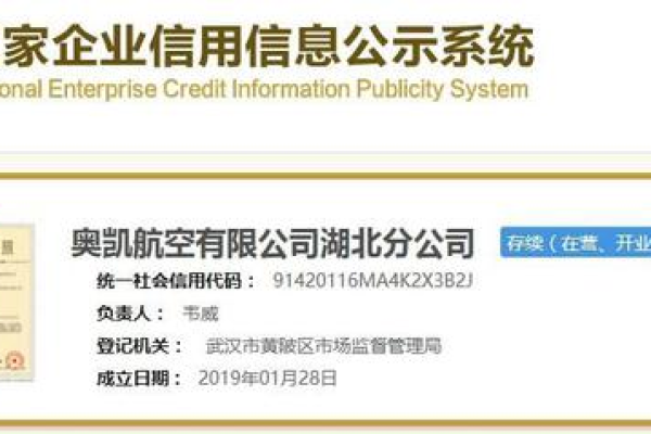 公司建立网站_分公司或子公司网站是否可以备案到总公司备案中