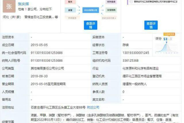 公司网站优化_分公司或子公司网站是否可以备案到总公司备案中