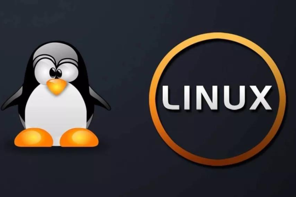 Linux的演变之路，从诞生到现代，这个开源操作系统是如何改变技术的？