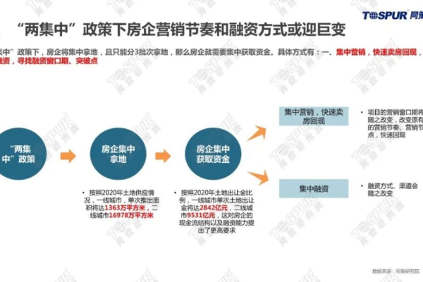 ROAS代表什么，它如何影响营销策略？