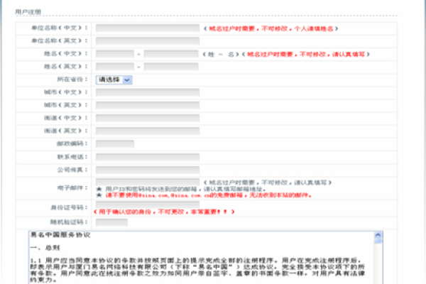 为何只选择注册.cn域名，背后有何特别考虑？  第1张