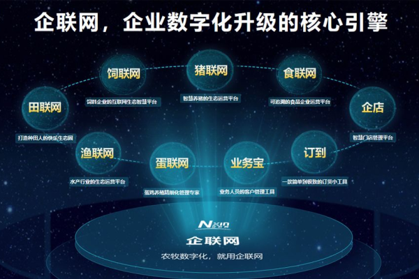 如何优化大数据项目政策以增强合作伙伴关系？