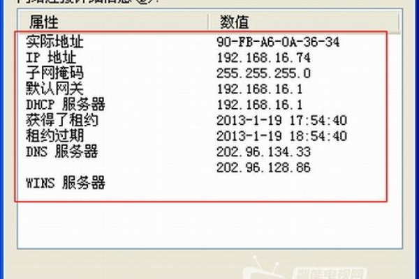 IP地址与域名之间存在哪些共同点？