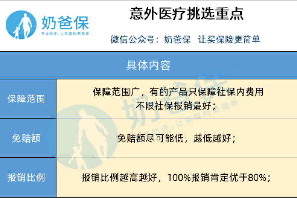 如何确保我的域名得到充分保护？注册时应注意哪些级别的域名？