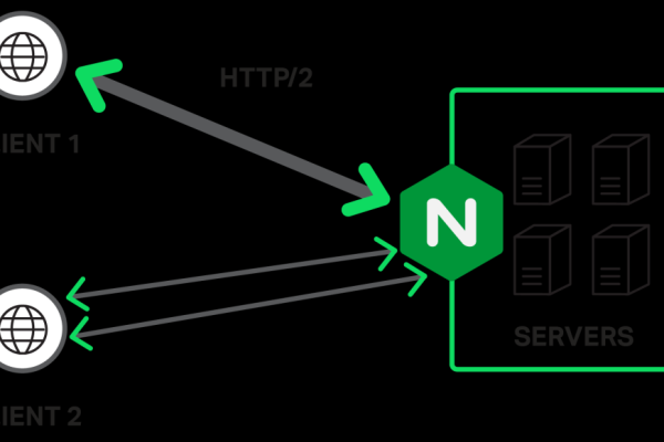 如何有效地利用Nginx Plus进行在线活动监控？