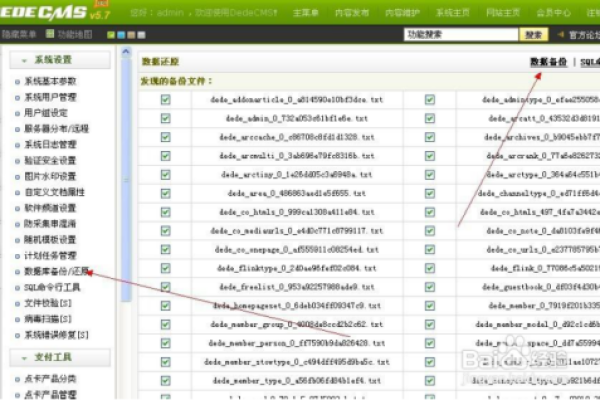 如何通过整站优化提升织梦CMS网站性能？