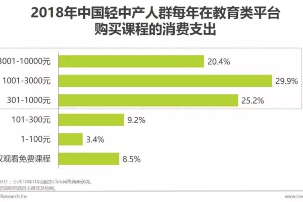 投资服务器的利与弊，为何企业愿意为此支付费用？