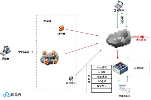 如何理解DDoS高防服务器的工作原理及其重要性？