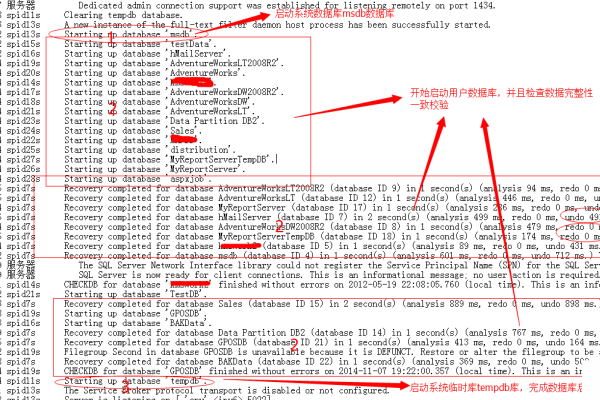 如何迅速应对服务器异常，详细解决步骤解析