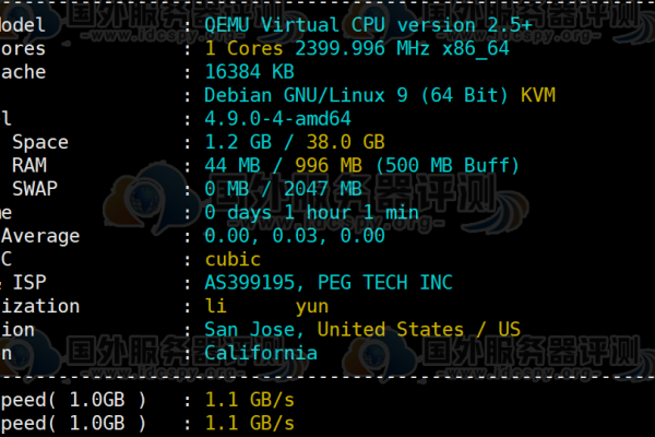 DigitalVirt：俄罗斯CN2/CMI线路VPS五折循环优惠，1核1G内存20GB SSD，50Mbps@1TB，月付19.5元起