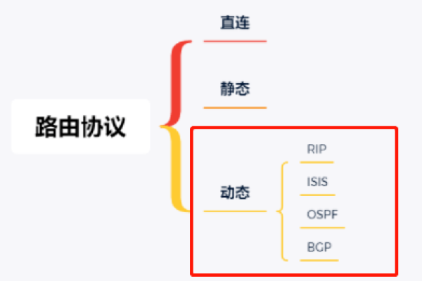 动态路由的含义（动态路由的作用和优点）