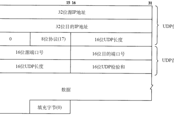 如何选择合适的网络协议，以满足高性能网络的需求？