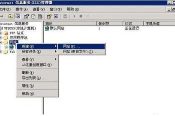 使用ASP在IIS中创建域名：实现快速建立网站的指南  第1张