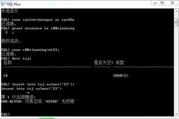 时光掌控oracle中上午与下午的表现形式一样吗